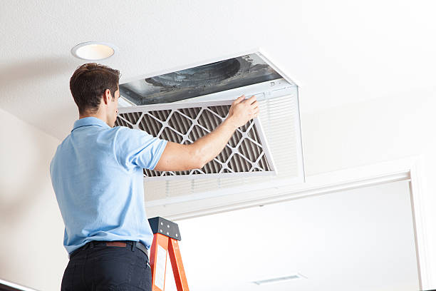 Best Local HVAC Companies  in Almedia, PA